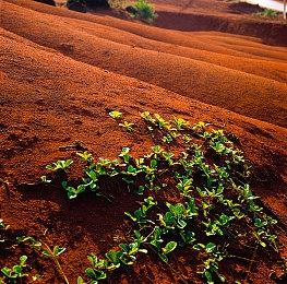 《歧路旅人2》媒体评分解禁 绝大部分媒体给出好评